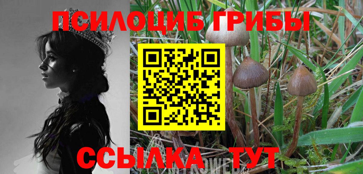 Галлюциногенные грибы прущие грибы  Вход с VPN  Анапа 